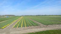 Fahrt mit der Museumstoomtram von Hoorn nach Medemblik