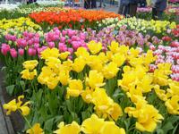 Farben-Wunder