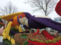 IMG_20230422_151036.jpg