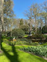 Idyll im Park