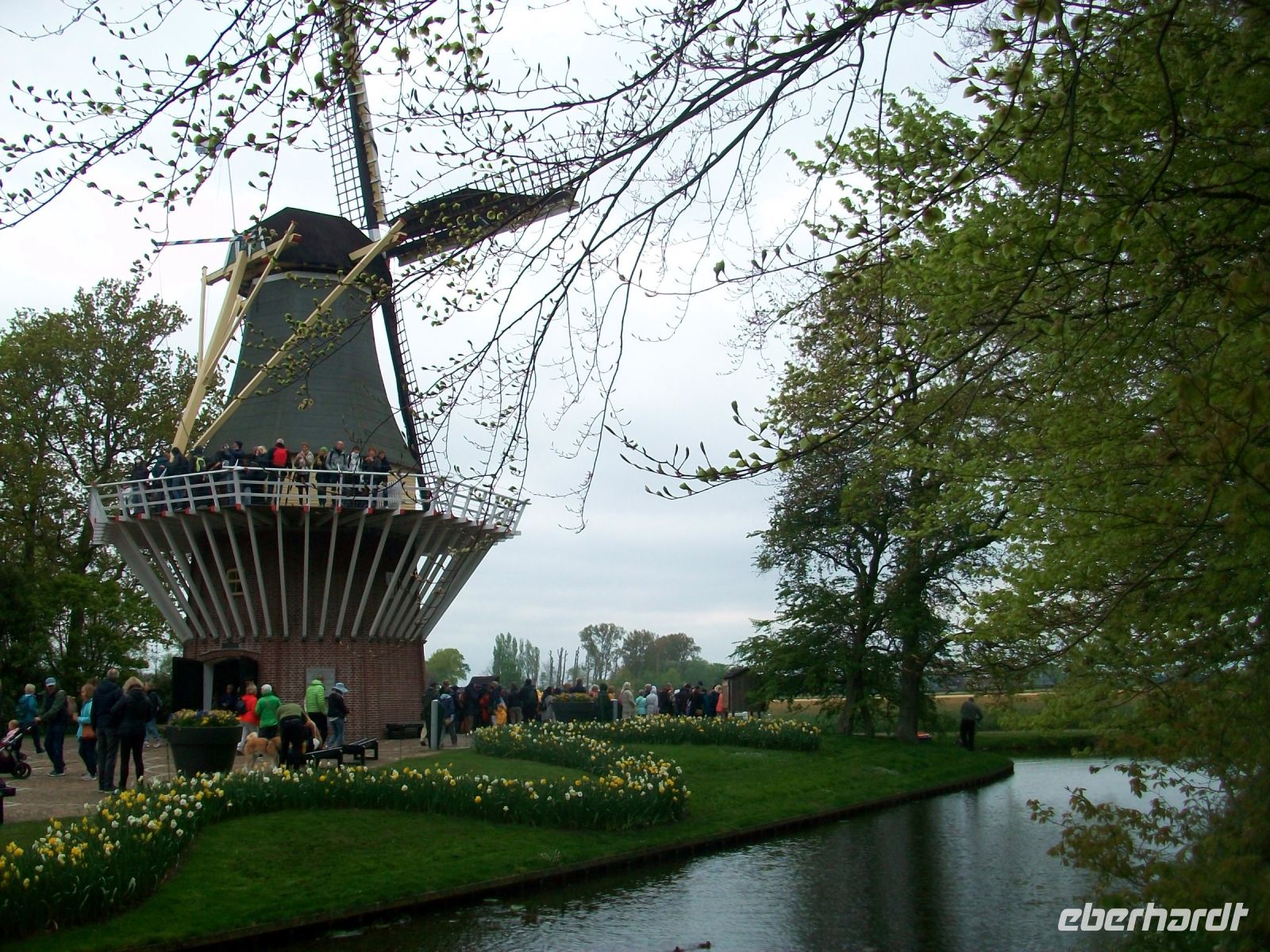 Im Keukenhof