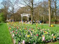 Im Keukenhof