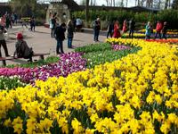 Im Keukenhof
