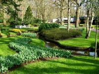 Im Keukenhof