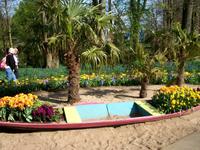 Im Keukenhof