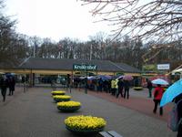 Im Keukenhof