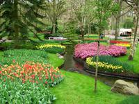 Im Keukenhof