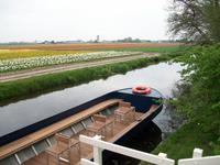 Im Keukenhof
