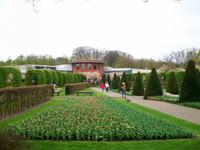 Im Keukenhof