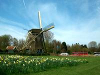In Amstelveen 