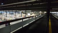In der großen Halle in Aalsmeer