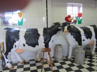 Irene Hoeve