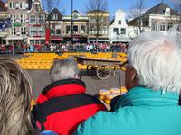 Käsemarkt Alkmaar