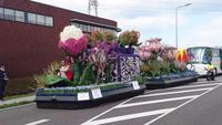 Keukenhof auf einem Wagen