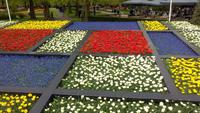 Keukenhof, Thema 2017-Dutch Design