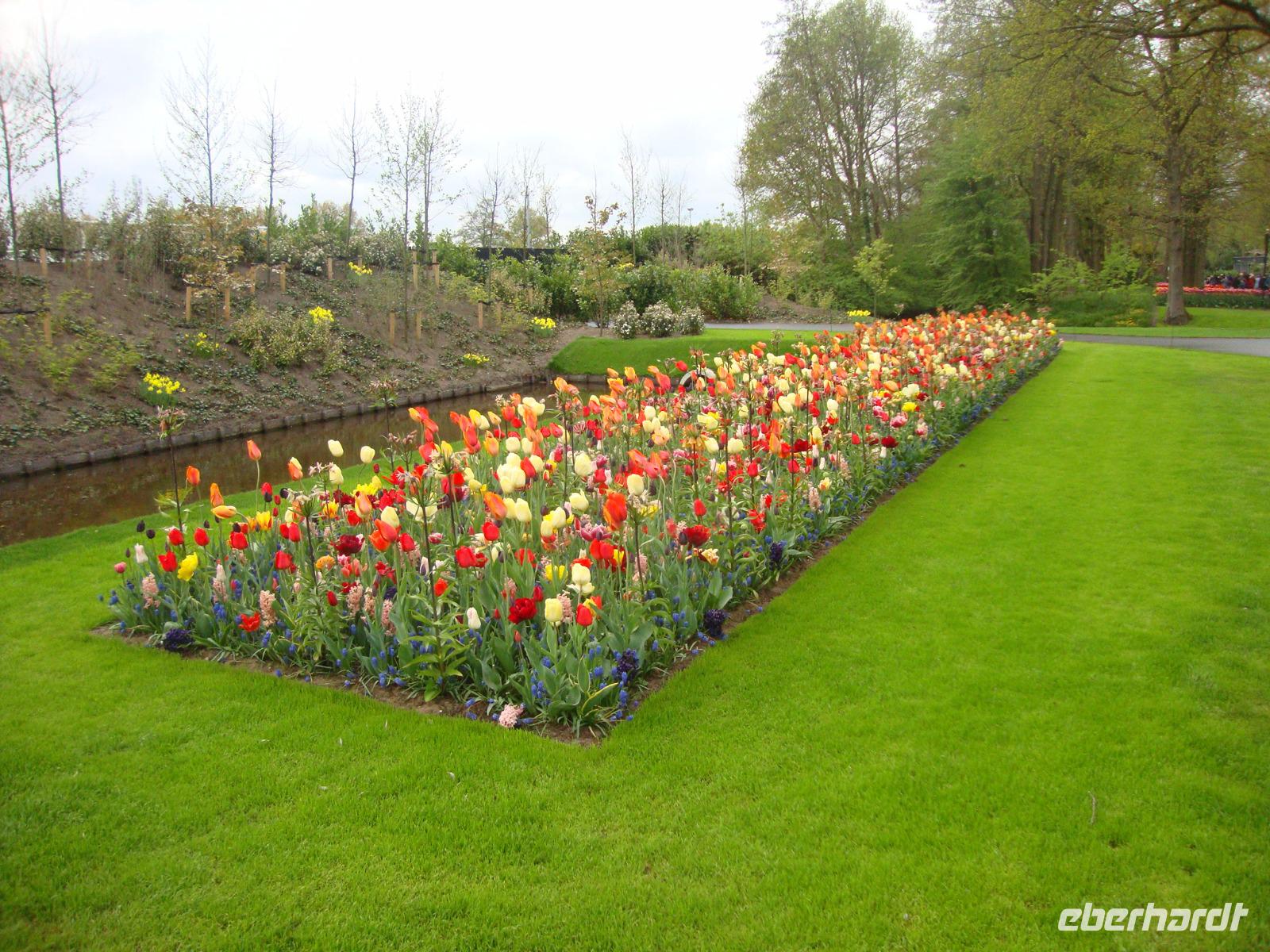 Keukenhof