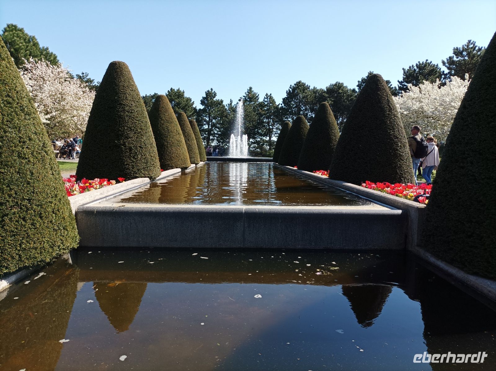 Keukenhof