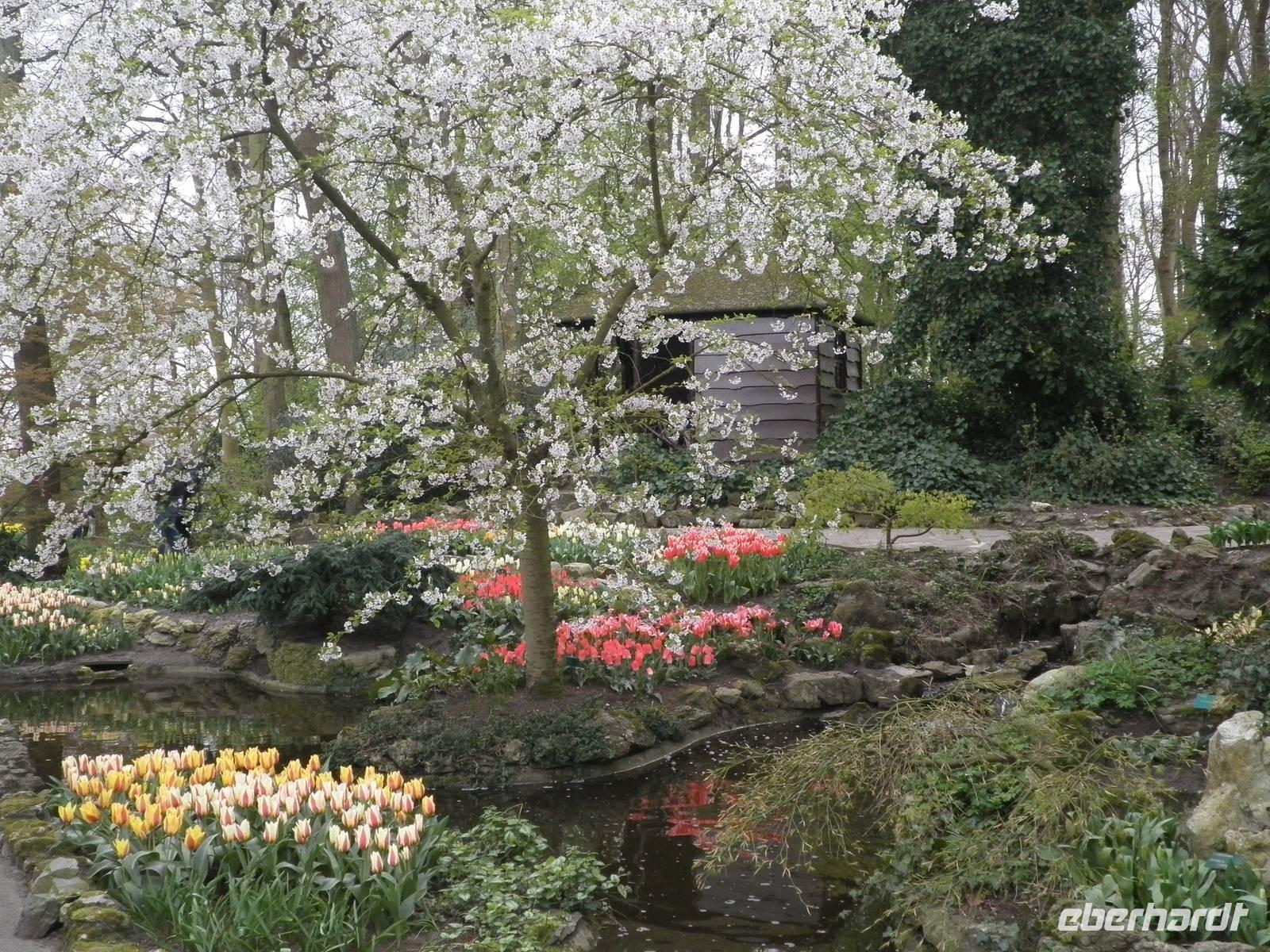 Keukenhof
