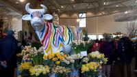 Keukenhof