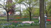 Keukenhof