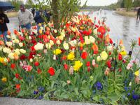 Keukenhof