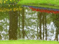 Keukenhof