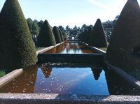 Keukenhof