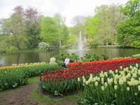 Keukenhof