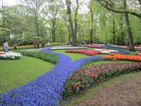 Keukenhof