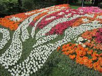 Keukenhof