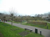 Keukenhof