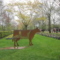 Keukenhof
