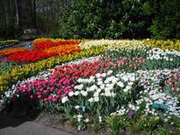 Keukenhof