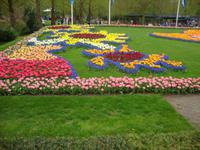 Keukenhof