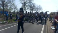 Lisse, Blumencorso, Thema- Kultur