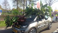 Lisse, Blumencorso, Thema- Kultur