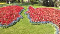Lisse, Keukenhof  bei Sonne
