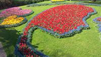 Lisse, Keukenhof  bei Sonne