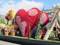 Lisse,Blumenkorso