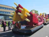 Lisse,Blumenkorso
