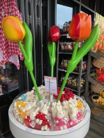 Miffy und Tulpen