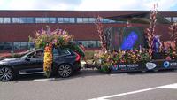 Monitore strahlen bunt wie die Blumen