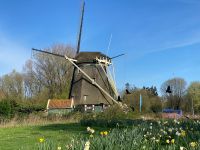Riekermühle