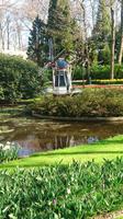 Ruhezonen auf dem Keukenhof