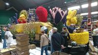 Tulpen und Herzen, die Botschaft des Korsos