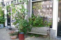 Stadtrundgang Amsterdam (4)