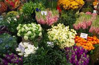 Blumenmarkt