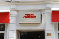 Stadtrundgang Jordaan Viertel (10)