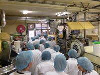 Gouda - Sirupwaffelfabrik Punselje 