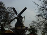 Keukenhof